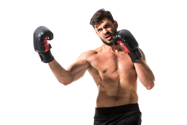 Bearded muscular Boxer boxing Isolated On White — Stock Photo