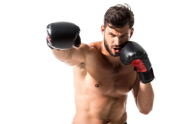Bärtige muskulöse Boxer boxen isoliert auf weiß — Stockfoto
