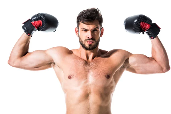 Боксер без рубашки показывает мышцы, изолированные на белом — стоковое фото