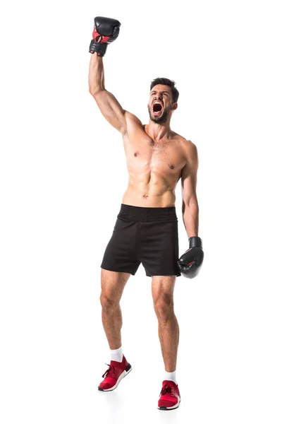 Boxeador sin camisa enojado con la mano levantada aislada en blanco - foto de stock