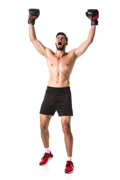 Shirtless Boxer with raised hands Isolated On White — Stock Photo