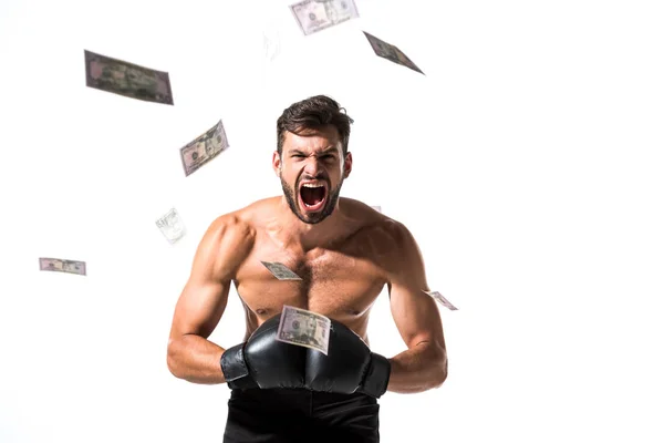Shirtless Boxer yelling Isolated On White with falling dollar banknotes — Stock Photo