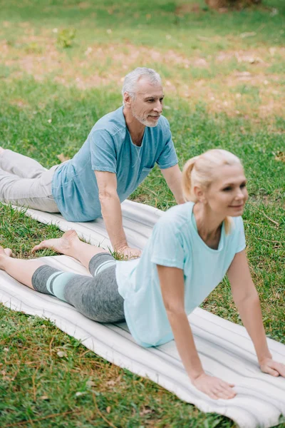 Positive mature man and woman meditating on yoga mats on lawn in park — Stock Photo