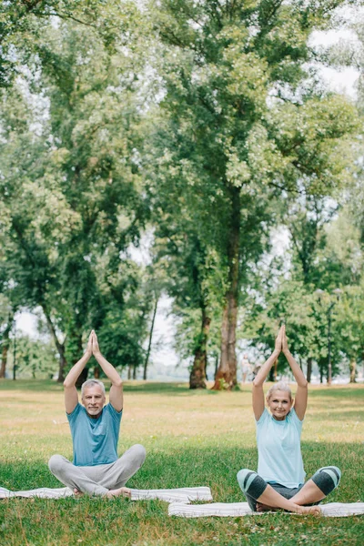 Ältere Männer und Frauen meditieren in Yoga-Posen, während sie auf dem Rasen im Park sitzen — Stockfoto