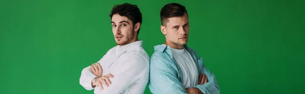 Panoramic shot of two serious friends standing with crossed arms and looking at camera isolated on green — Stock Photo