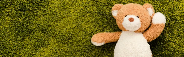Colpo panoramico di peluche orsacchiotto sul tappeto morbido verde — Foto stock