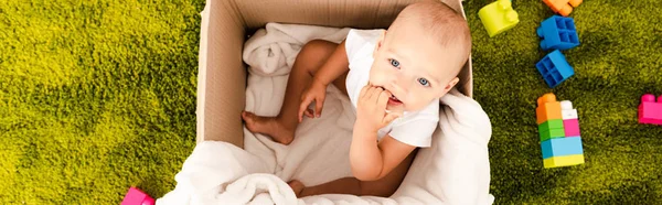 Panoramic shot of funny little child sitting in cardboard box and taking hand into mouth — Stock Photo