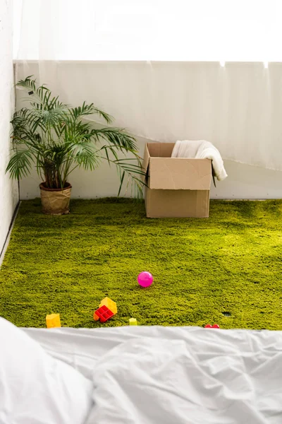 Cardboard box near plant on green carpet with scattered toys — Stock Photo
