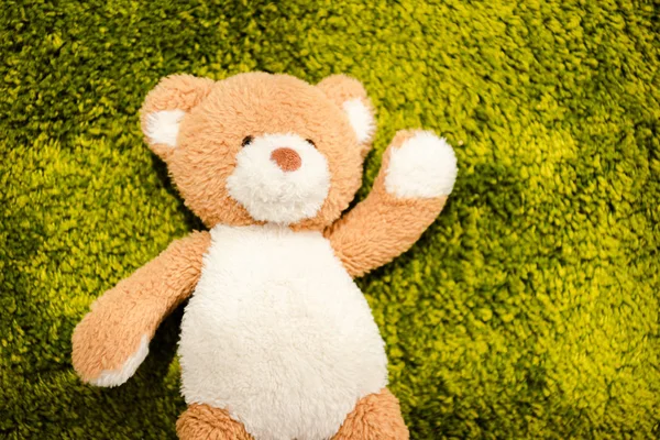 Blick von oben auf Plüsch-Teddybär auf grünem weichen Teppich — Stockfoto