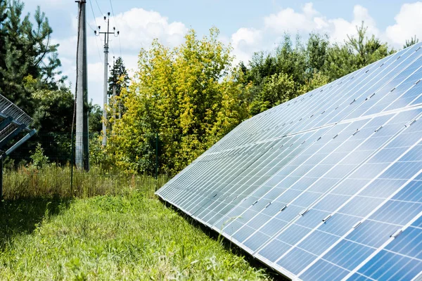 Блакитні сонячні батареї з копіювальним простором і зеленими деревами — стокове фото