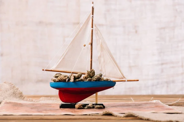 Decorative ship with dry plant lumps on wooden surface — Stock Photo