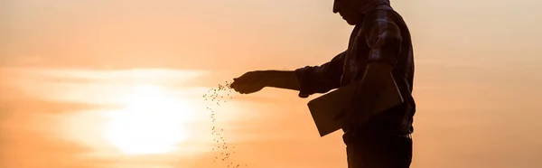 Plano panorámico del agricultor sembrando semillas durante la puesta del sol - foto de stock