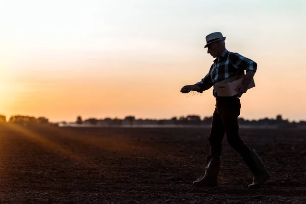 Profile of farmer in straw hat walking and sowing seeds — Stock Photo