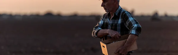 Panoramaaufnahme eines selbstständigen Landwirts, der einen Kasten auf einem Feld hält — Stockfoto
