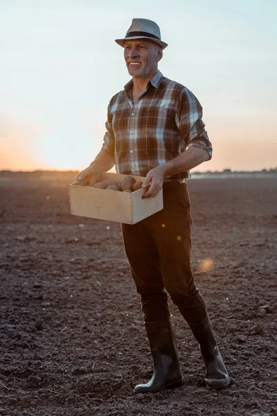 Cheerful self-employed farmer holding box with organic potatoes — Stock Photo