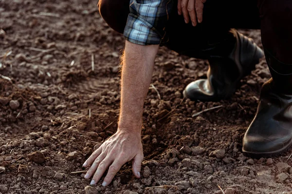 Обрезанный вид самозанятого фермера сидя и касаясь земли — стоковое фото
