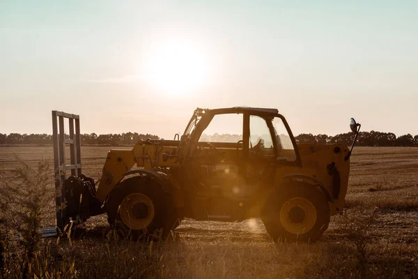 Luz del sol en el tractor cerca del campo de trigo por la noche - foto de stock