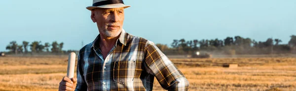 Панорамний знімок самозайнятого чоловіка, який тримає граблі в пшеничному полі — стокове фото