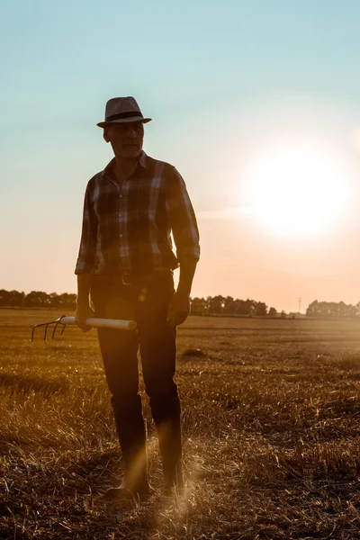 Handsome self-employed man holding rake in wheat field — Stock Photo