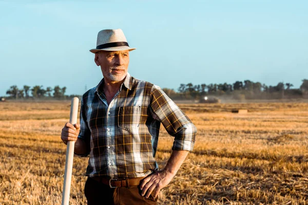 Happy self-employed man holding rake while standing with hand on hip in wheat field — Stock Photo