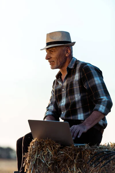 Cheerful senior man sitting on bale of hay and using laptop — Stock Photo