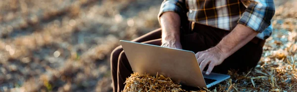 Panoramic shot of self-employed man typing on laptop while sitting on bale of hay — Stock Photo