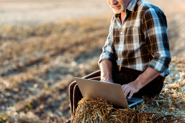 Vista recortada de agricultor autónomo feliz mecanografía en el ordenador portátil mientras está sentado en la paca de heno - foto de stock