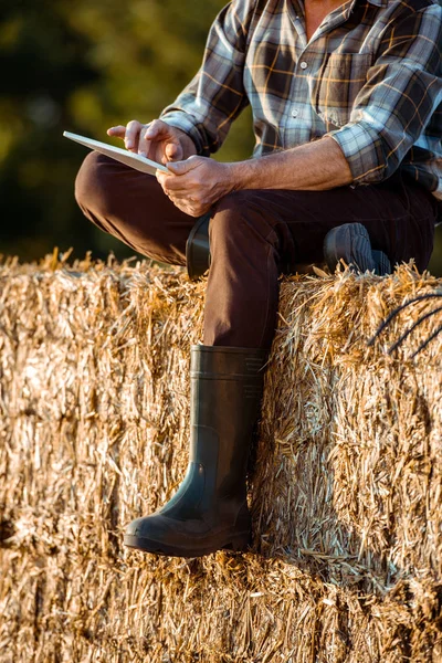 Vista recortada del agricultor autónomo utilizando tableta digital mientras está sentado en la paca de heno - foto de stock