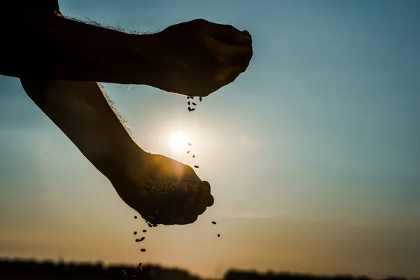 Обрезанный взгляд на самозанятого фермера, бросающего семена — стоковое фото