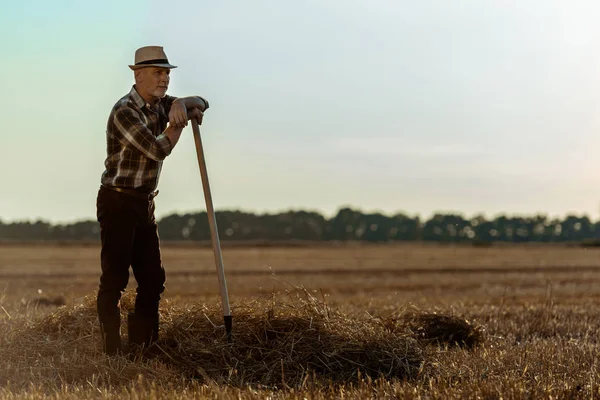 Bel lavoratore autonomo in cappello di paglia che tiene rastrello nel campo di grano — Foto stock
