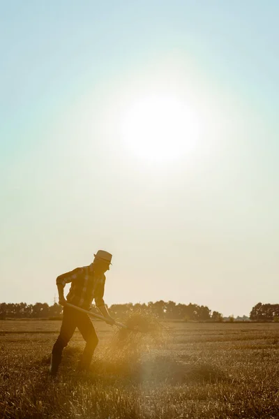 Vista laterale dell'uomo anziano in cappello di paglia che tiene rastrello con fieno nel campo di grano — Foto stock