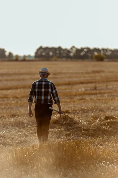 Vista posteriore di uomo anziano in cappello di paglia che tiene rastrello mentre cammina campo di grano — Foto stock