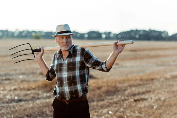 Homem sênior alegre segurando ancinho perto do campo de trigo — Fotografia de Stock