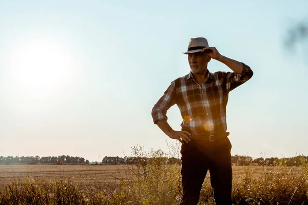 Старший мужчина трогает соломенную шляпу на пшеничном поле — стоковое фото
