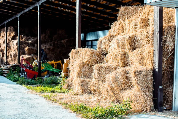 Meules de foin sur herbe verte près du bâtiment dans le pays — Photo de stock