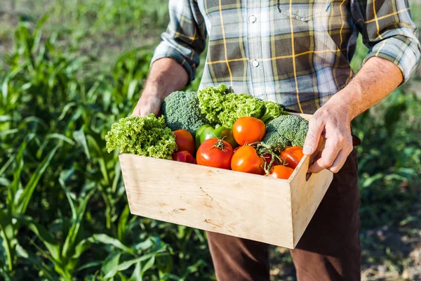 Cropped view of senior man holding box with vegetables — Stock Photo