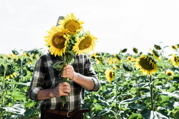 Фермер вкриває обличчя, тримаючи соняшники біля поля — стокове фото