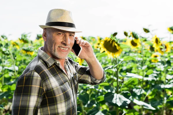 Веселий старший чоловік розмовляє по смартфону біля соняшників — стокове фото