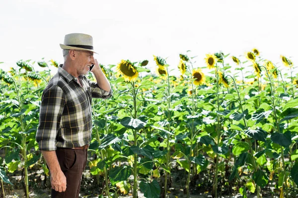 Joyeux travailleur indépendant agriculteur âgé parler sur smartphone près de tournesols — Photo de stock