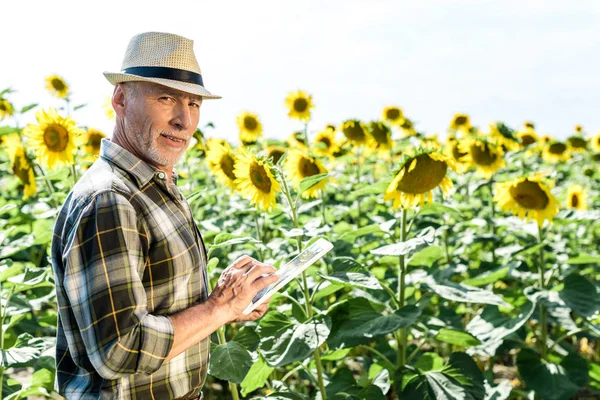 Щасливий самозайнятий фермер, використовуючи цифровий планшет біля поля з соняшниками — стокове фото
