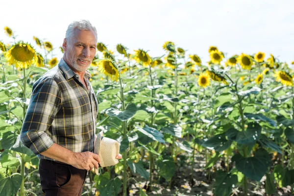 Allegro contadino barbuto che tiene cappello di paglia vicino al campo con girasoli — Foto stock