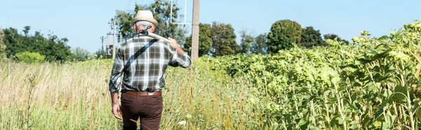 Панорамний знімок самозайнятого чоловіка, що тримає стійку біля зеленого поля — стокове фото