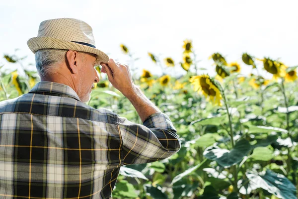 Selective focus of bearded farmer touching straw hat near field with sunflowers — Stock Photo