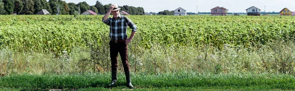 Plano panorámico del agricultor senior tocando sombrero de paja y de pie con la mano en la cadera en el campo - foto de stock