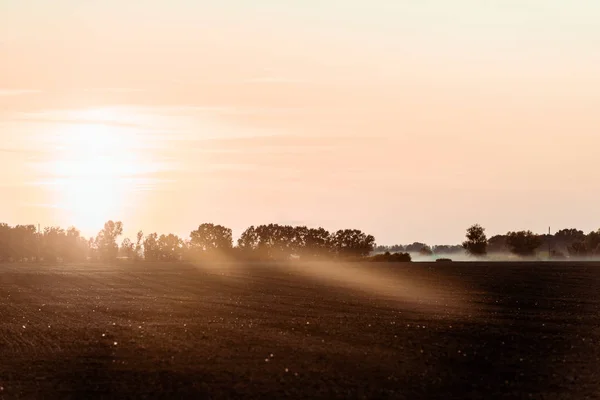 Солнечный свет на поле рядом с деревьями и небо вечером — стоковое фото