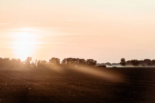 Luce del sole sul campo vicino agli alberi e cielo in serata — Foto stock