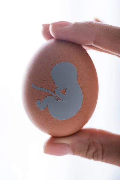 Vista recortada de la mujer sosteniendo huevo con silueta de bebé - foto de stock