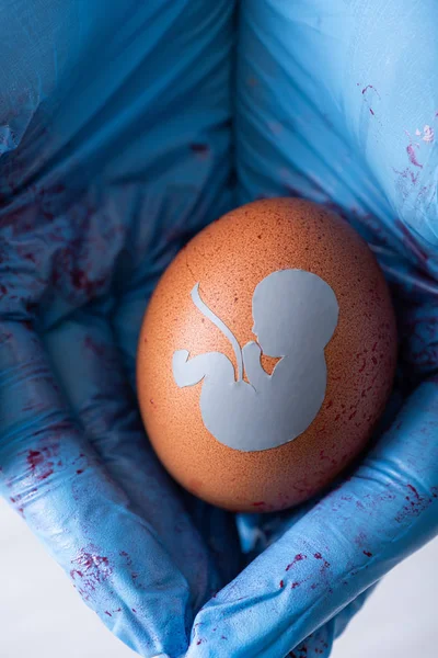 Cropped view of doctor in latex gloves holding egg with baby silhouette — Stock Photo