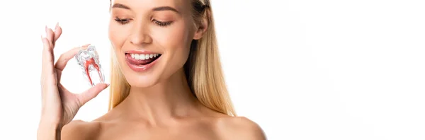 Panoramic shot of naked woman with white teeth holding tooth model isolated on white — Stock Photo