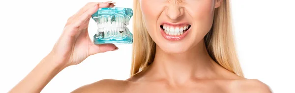 Обрізаний вид на голу жінку, що показує зуби і тримає модель щелепи ізольовано на білому — стокове фото